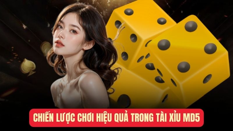 Chiến lược chơi hiệu quả trong tài xỉu MD5