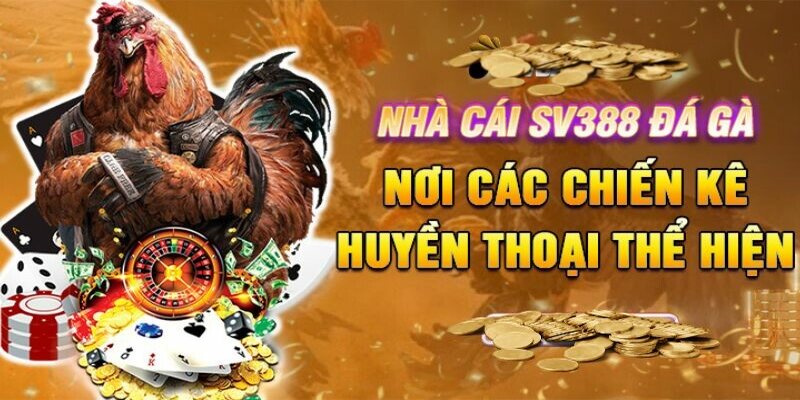 Cách thức hoạt động tại cổng game SV388 cho ai chưa biết