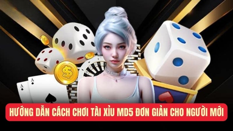 Hướng dẫn cách chơi tài xỉu MD5 đơn giản cho người mới