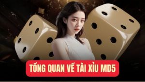 Tổng quan về tài xỉu MD5 