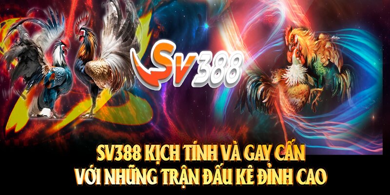 Một số lưu ý quan trọng cần nắm được trước khi tham sảnh SV388